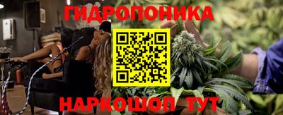 трава Бийск