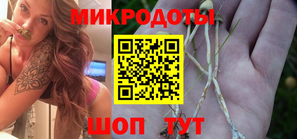 купить наркотик  Вход с VPN  Калининград  Псилоцибиновые грибы ЛСД 