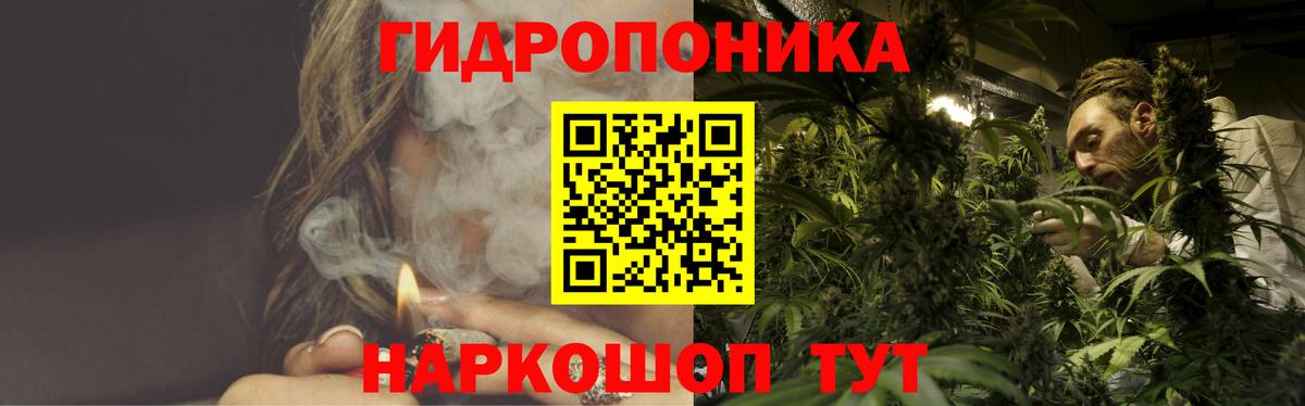 Калининград  Каннабис план  Каннабис White Widow  Конопля гибрид  Вход с VPN 